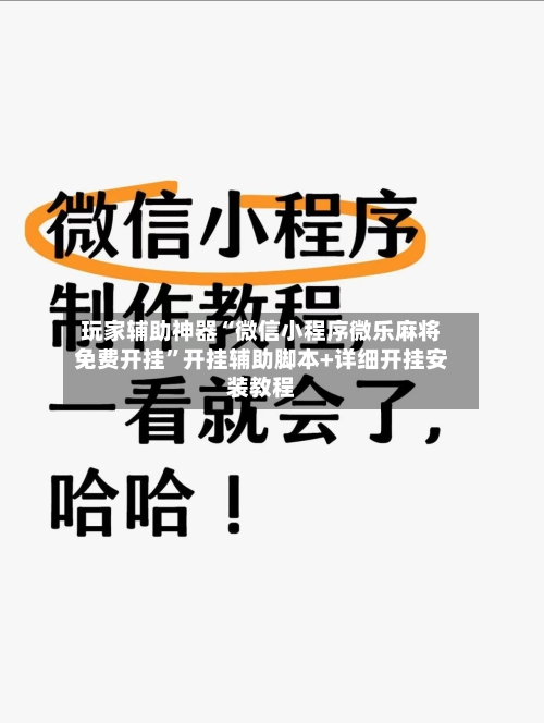 玩家辅助神器“微信小程序微乐麻将免费开挂”开挂辅助脚本+详细开挂安装教程-第2张图片