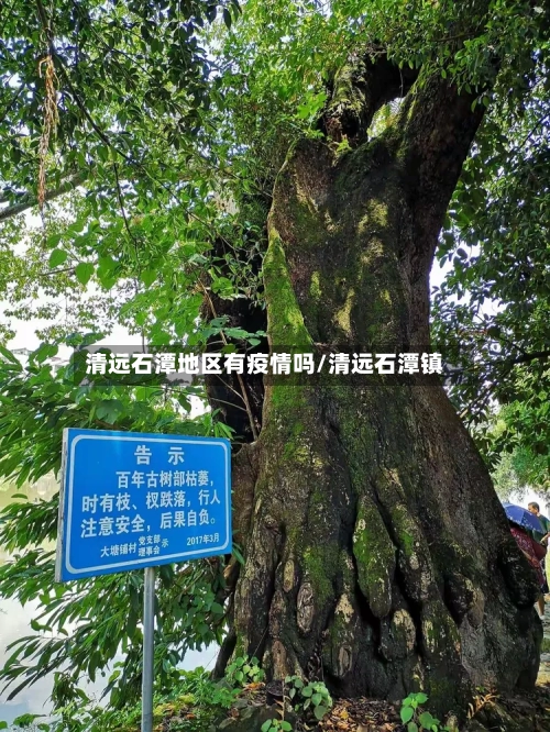 清远石潭地区有疫情吗/清远石潭镇