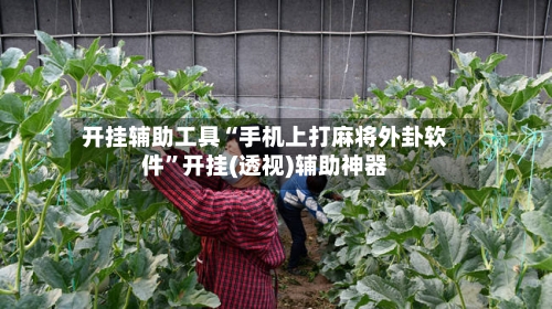 开挂辅助工具“手机上打麻将外卦软件”开挂(透视)辅助神器-第3张图片