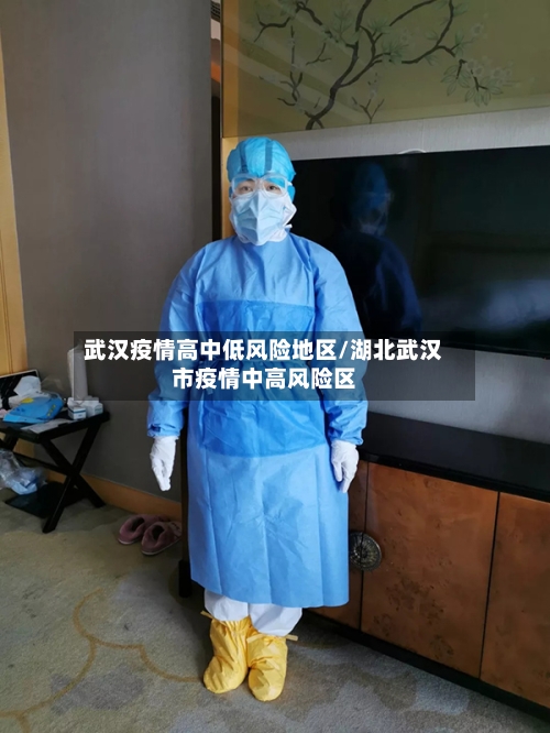 武汉疫情高中低风险地区/湖北武汉市疫情中高风险区-第3张图片