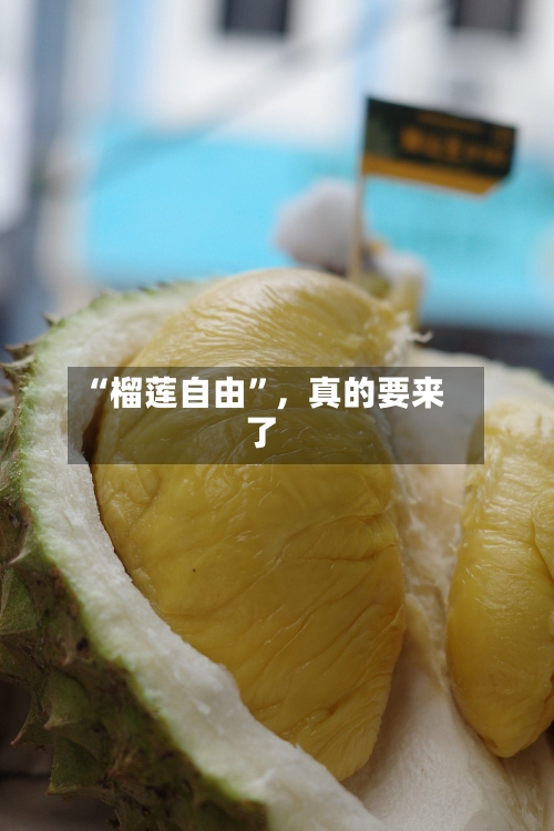 “榴莲自由”，真的要来了-第2张图片