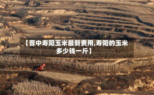 【晋中寿阳玉米最新费用,寿阳的玉米多少钱一斤】-第3张图片
