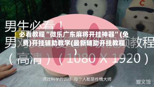 必看教程“微乐广东麻将开挂神器”(免费)开挂辅助教学(最新辅助开挂教程)-第3张图片