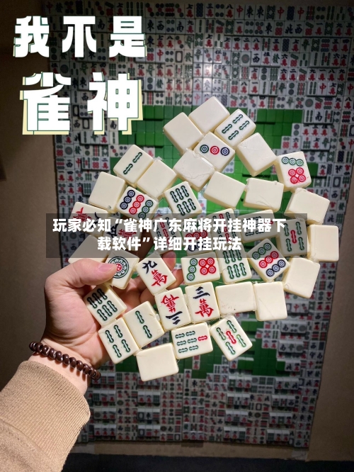 玩家必知“雀神广东麻将开挂神器下载软件”详细开挂玩法-第3张图片