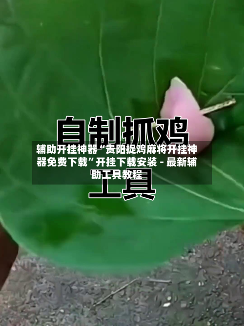 辅助开挂神器“贵阳捉鸡麻将开挂神器免费下载	”开挂下载安装 - 最新辅助工具教程-第2张图片