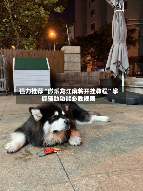 强力推荐“微乐龙江麻将开挂教程	”掌握辅助功能必胜规则-第2张图片