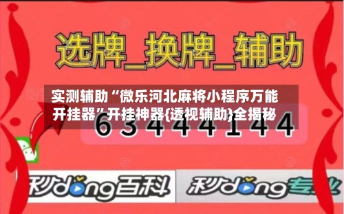 实测辅助“微乐河北麻将小程序万能开挂器”开挂神器{透视辅助}全揭秘-第2张图片