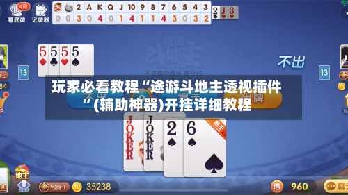 玩家必看教程“途游斗地主透视插件”(辅助神器)开挂详细教程-第2张图片