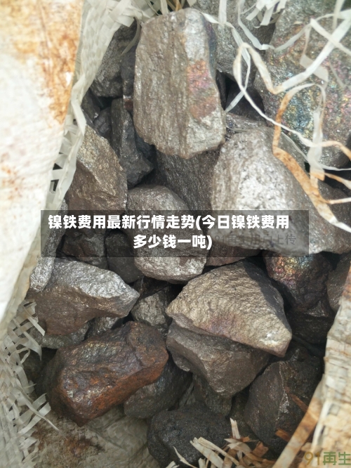 镍铁费用最新行情走势(今日镍铁费用多少钱一吨)