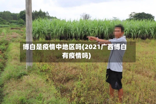 博白是疫情中地区吗(2021广西博白有疫情吗)-第3张图片