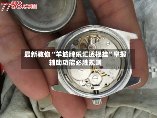 最新教你“羊城牌乐汇透视挂”掌握辅助功能必胜规则-第2张图片