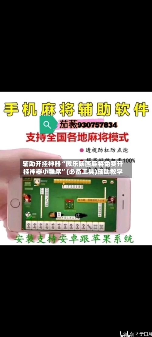 辅助开挂神器“微乐陕西麻将免费开挂神器小程序”(必备工具)辅助教学-第3张图片