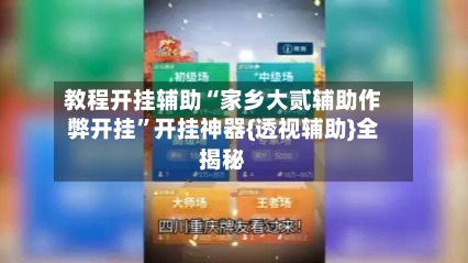 教程开挂辅助“家乡大贰辅助作弊开挂”开挂神器{透视辅助}全揭秘