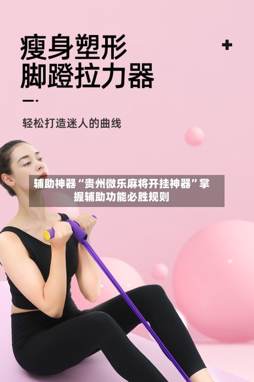 辅助神器“贵州微乐麻将开挂神器”掌握辅助功能必胜规则-第2张图片