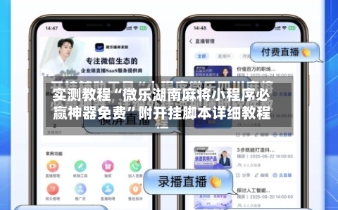 实测教程“微乐湖南麻将小程序必赢神器免费”附开挂脚本详细教程-第2张图片