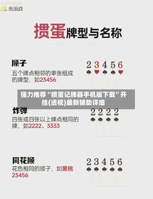 强力推荐“掼蛋记牌器手机版下载”开挂(透视)最新辅助详细-第2张图片