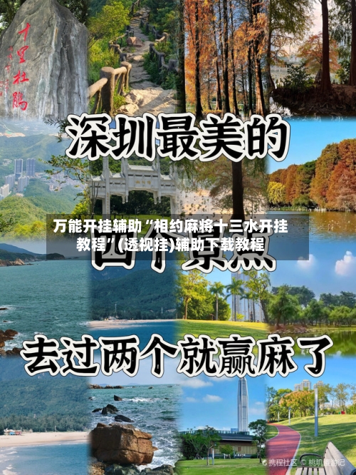 万能开挂辅助“相约麻将十三水开挂教程”(透视挂)辅助下载教程-第2张图片