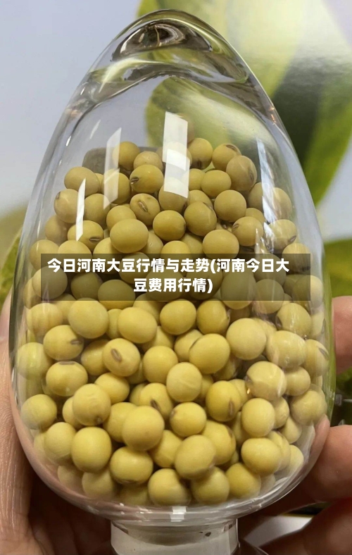 今日河南大豆行情与走势(河南今日大豆费用行情)