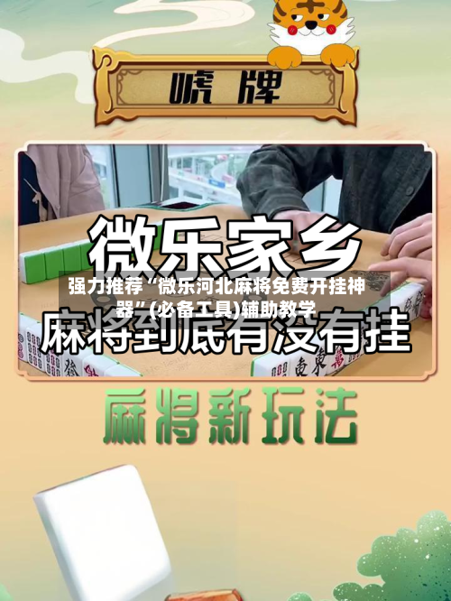 强力推荐“微乐河北麻将免费开挂神器”(必备工具)辅助教学-第2张图片