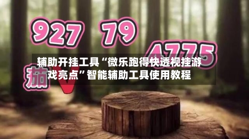 辅助开挂工具“微乐跑得快透视挂游戏亮点”智能辅助工具使用教程