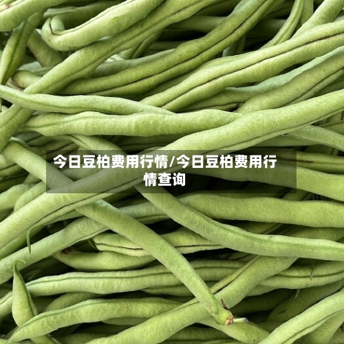 今日豆柏费用行情/今日豆柏费用行情查询-第3张图片