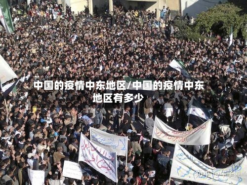 中国的疫情中东地区/中国的疫情中东地区有多少-第2张图片