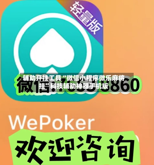 辅助开挂工具“微信小程序微乐麻将挂”科技辅助神器手机版-第3张图片