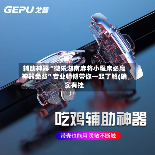 辅助神器“微乐湖南麻将小程序必赢神器免费”专业师傅带你一起了解(确实有挂