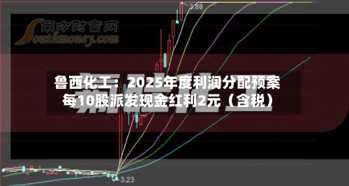 鲁西化工：2025年度利润分配预案每10股派发现金红利2元（含税）-第3张图片