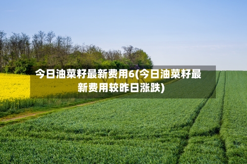 今日油菜籽最新费用6(今日油菜籽最新费用较昨日涨跌)-第2张图片