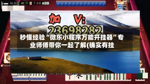 秒懂经验“微乐小程序万能开挂器	”专业师傅带你一起了解(确实有挂-第3张图片
