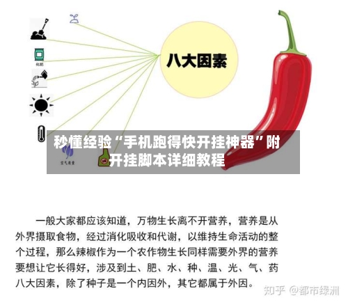 秒懂经验“手机跑得快开挂神器”附开挂脚本详细教程