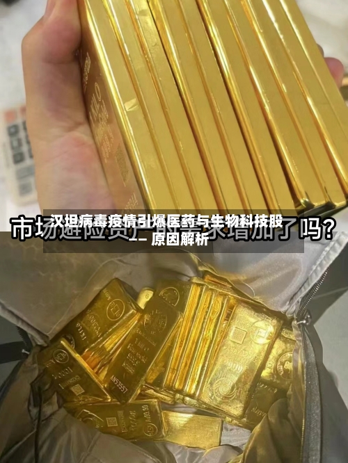 汉坦病毒疫情引爆医药与生物科技股 —— 原因解析