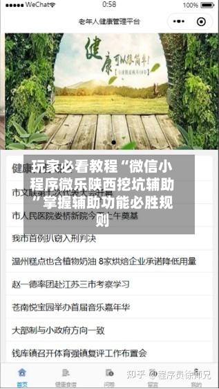 玩家必看教程“微信小程序微乐陕西挖坑辅助”掌握辅助功能必胜规则-第2张图片