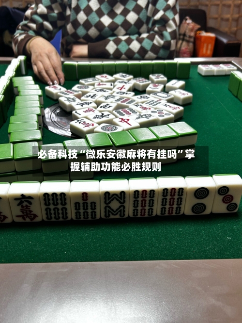 必备科技“微乐安徽麻将有挂吗”掌握辅助功能必胜规则-第3张图片