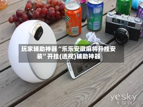 玩家辅助神器“乐乐安徽麻将开挂安装	”开挂(透视)辅助神器-第2张图片