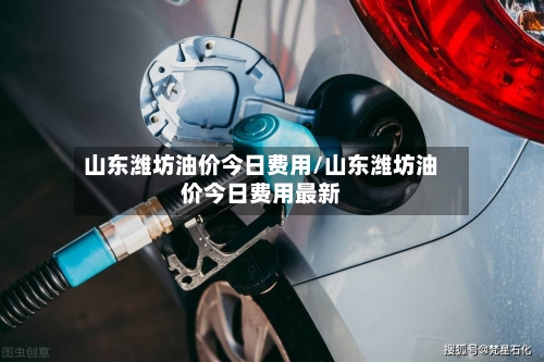 山东潍坊油价今日费用/山东潍坊油价今日费用最新