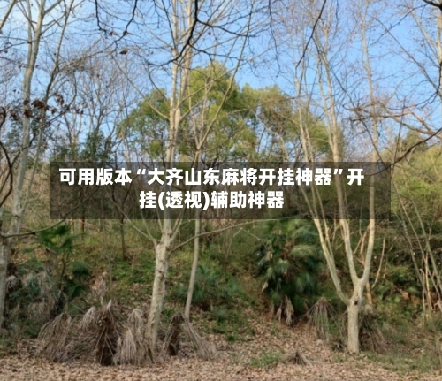 可用版本“大齐山东麻将开挂神器”开挂(透视)辅助神器-第3张图片