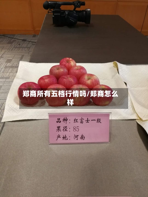 郑商所有五档行情吗/郑商怎么样-第3张图片