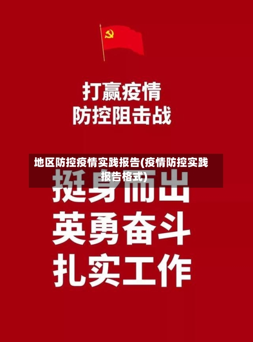 地区防控疫情实践报告(疫情防控实践报告格式)