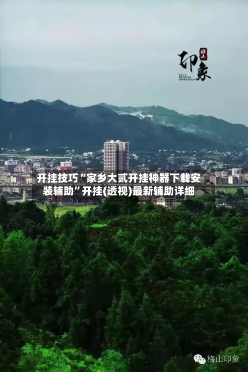 开挂技巧“家乡大贰开挂神器下载安装辅助	”开挂(透视)最新辅助详细-第3张图片