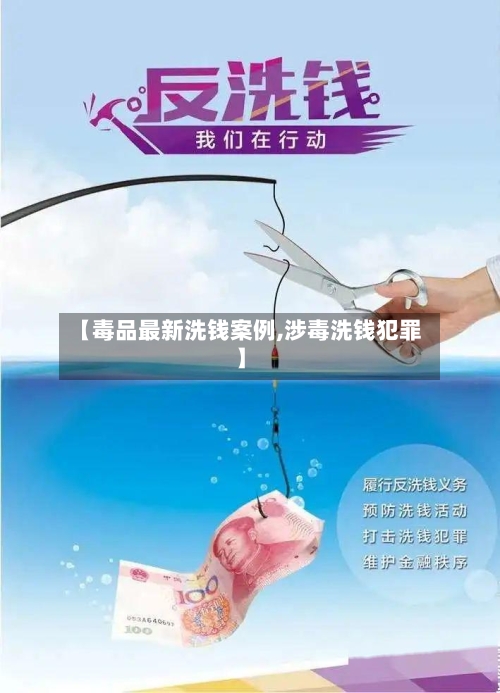 【毒品最新洗钱案例,涉毒洗钱犯罪】-第2张图片