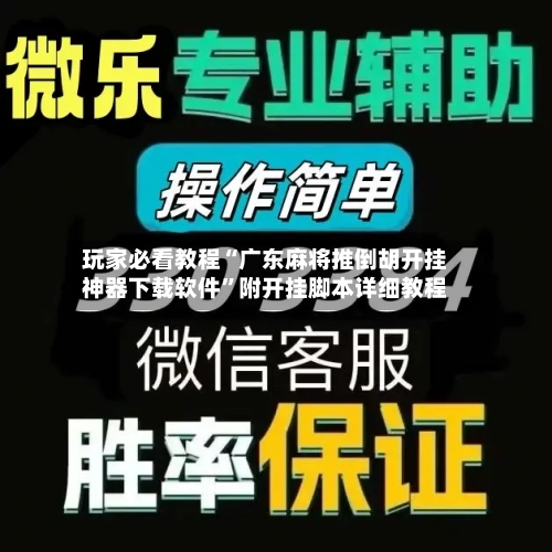 玩家必看教程“广东麻将推倒胡开挂神器下载软件	”附开挂脚本详细教程-第2张图片