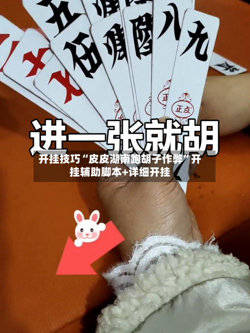 开挂技巧“皮皮湖南跑胡子作弊”开挂辅助脚本+详细开挂-第2张图片