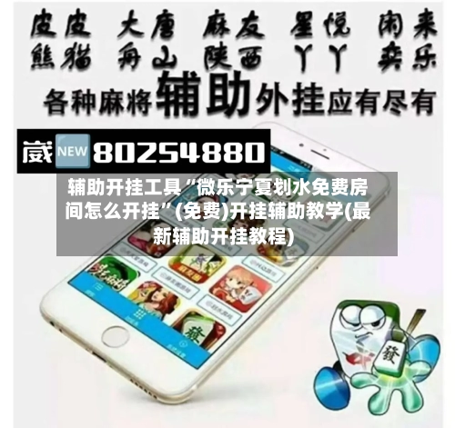 辅助开挂工具“微乐宁夏划水免费房间怎么开挂	”(免费)开挂辅助教学(最新辅助开挂教程)-第3张图片