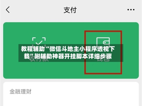 教程辅助“微信斗地主小程序透视下载”附辅助神器开挂脚本详细步骤-第2张图片