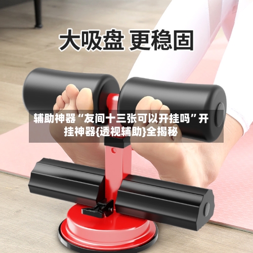 辅助神器“友间十三张可以开挂吗”开挂神器{透视辅助}全揭秘-第2张图片