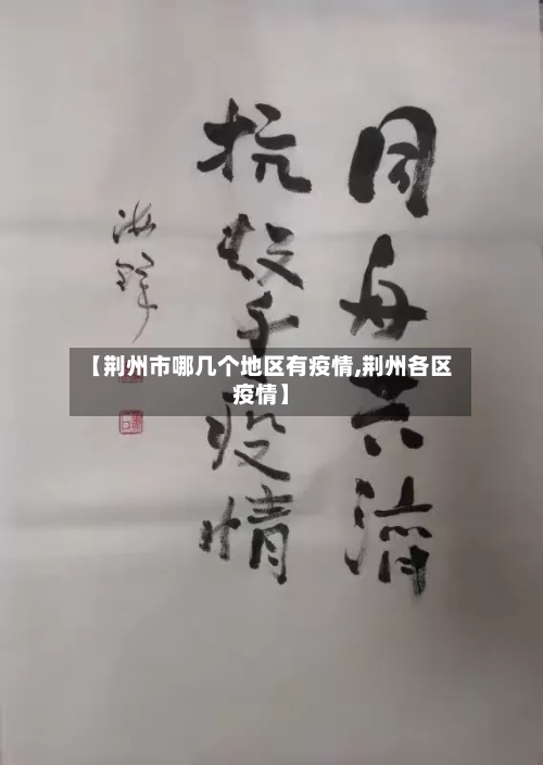 【荆州市哪几个地区有疫情,荆州各区疫情】