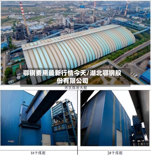 鄂钢费用最新行情今天/湖北鄂钢股份有限公司