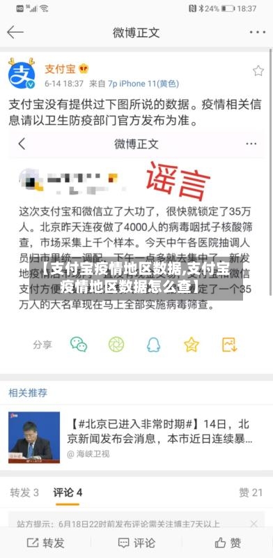 【支付宝疫情地区数据,支付宝疫情地区数据怎么查】